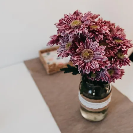 Efka 公寓 德尔内夫奥里克