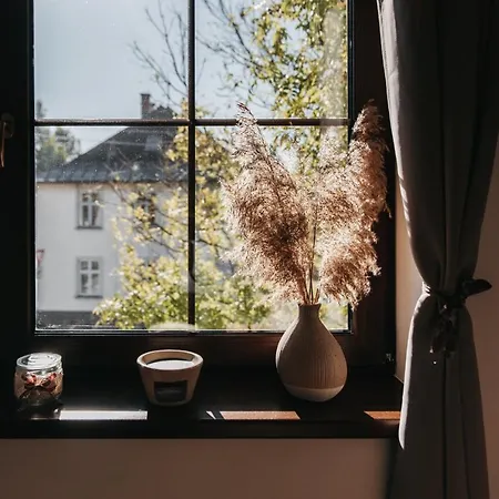 公寓 Efka 德尔内夫奥里克